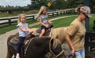 Frances F.'s photo of camping with a horse at Kentucky Horse Park Campground near Taylorsville, KY