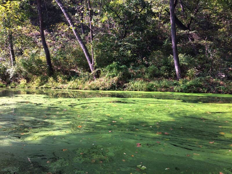 Camper-submitted photo at Natural Falls State Park Campground in Oklahoma