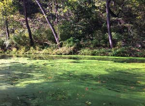 Natural Falls State Park Campground