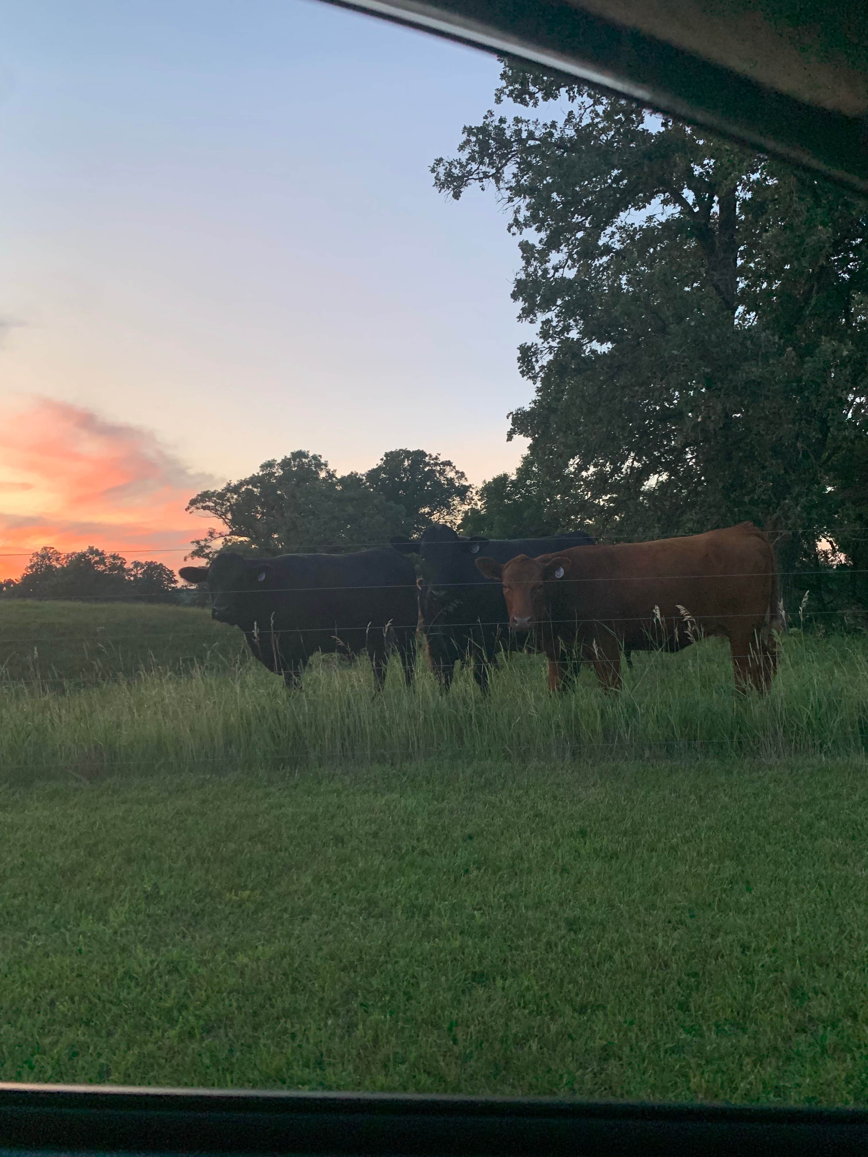 Camper-submitted photo at Oakwoods Trails Campground near Hayward, MN