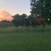 Review photo of Oakwoods Trails Campground by Torey H., July 27, 2022