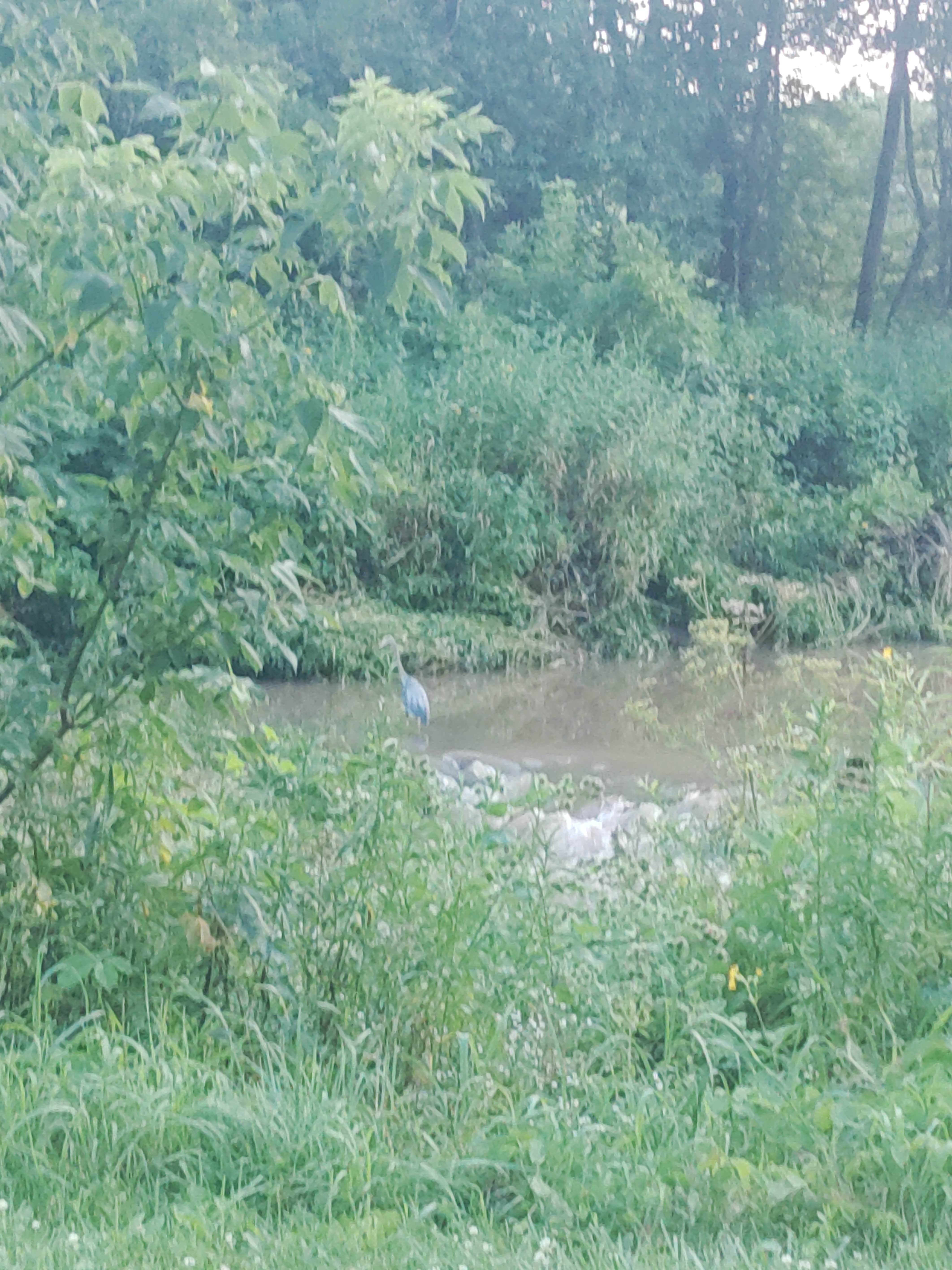 Camper-submitted photo at Creekside Equestrian Campground — Yellow River State Forest near Genoa, WI