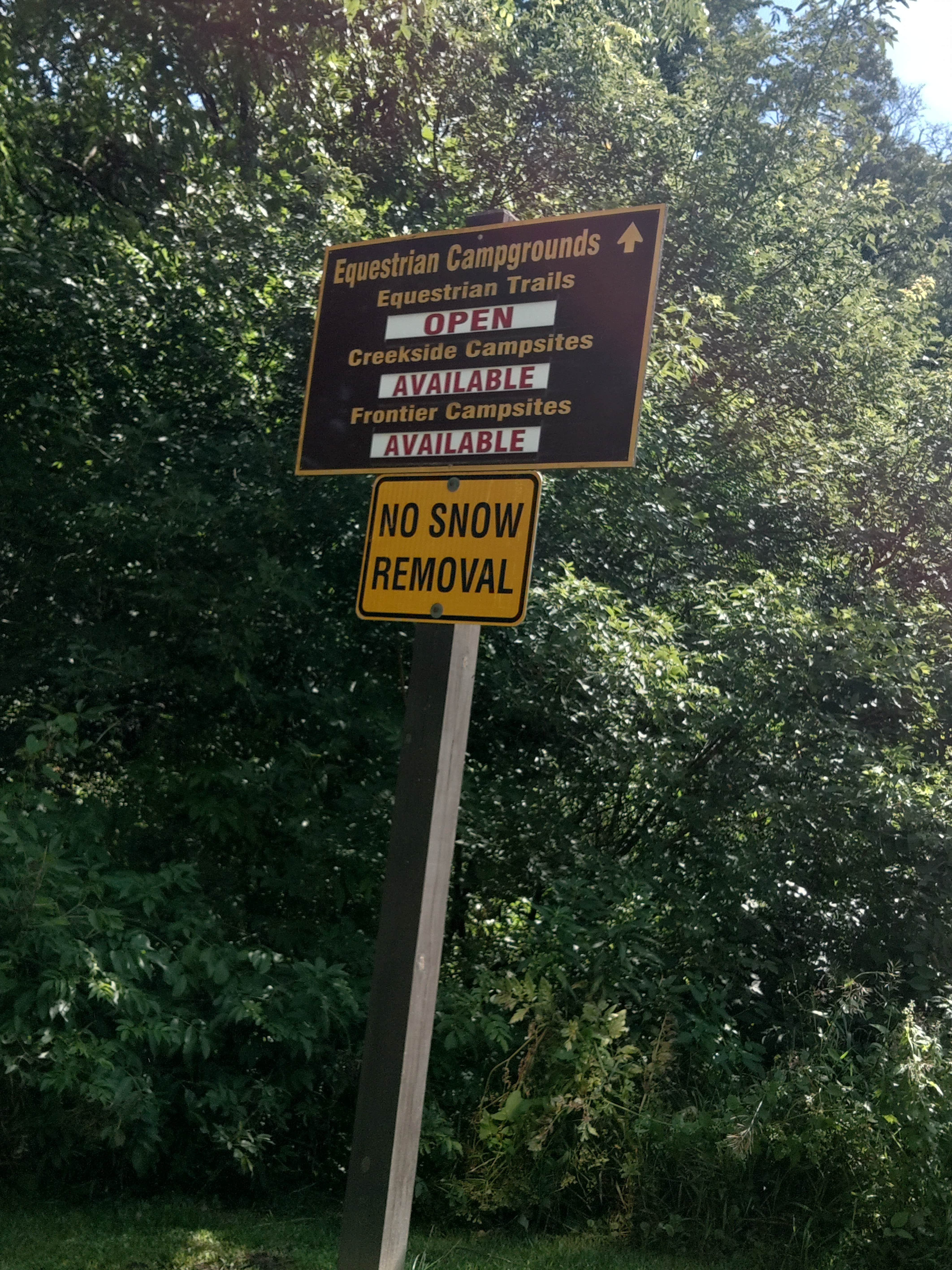 Camper-submitted photo at Frontier Equestrian Campground — Yellow River State Forest near Caledonia, MN