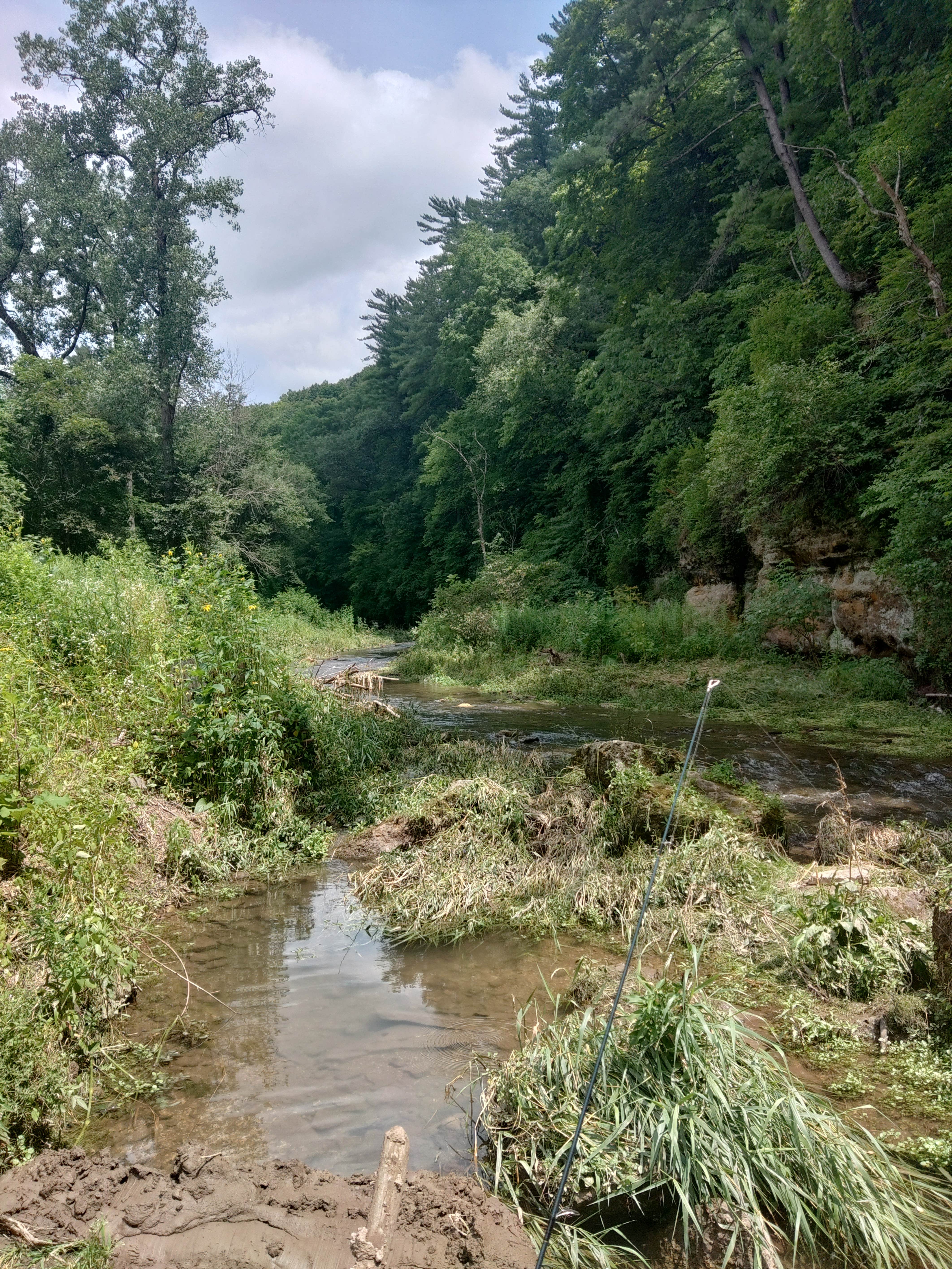 Camper-submitted photo at Frontier Equestrian Campground — Yellow River State Forest near Caledonia, MN