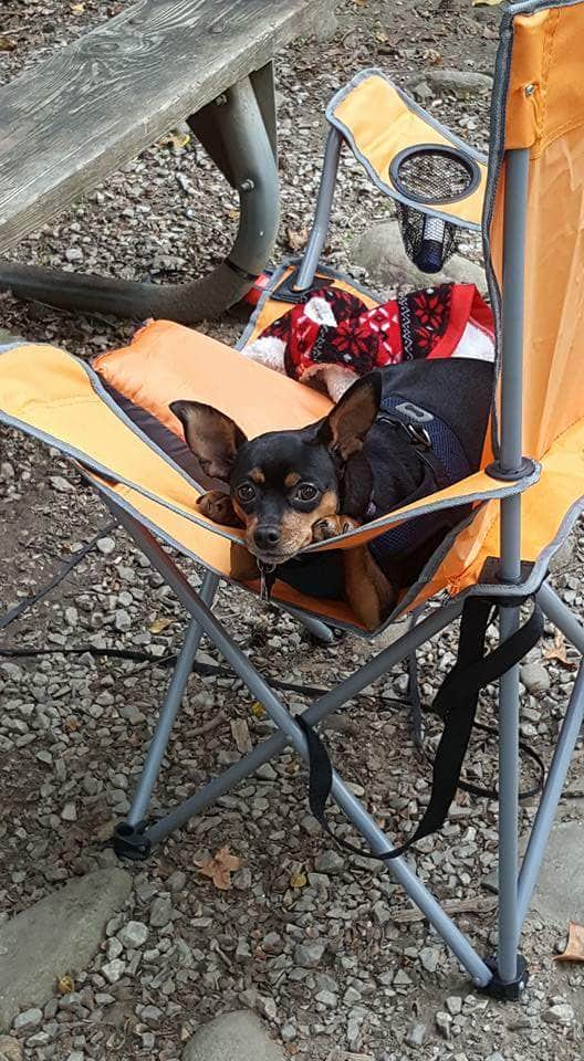 Camper-submitted photo at Townsend-Great Smokies KOA near Townsend, TN