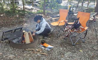 Cristy M.'s photo at Townsend-Great Smokies KOA in Tennessee