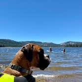 Review photo of Webber Lake Campground by Ron G., July 28, 2022