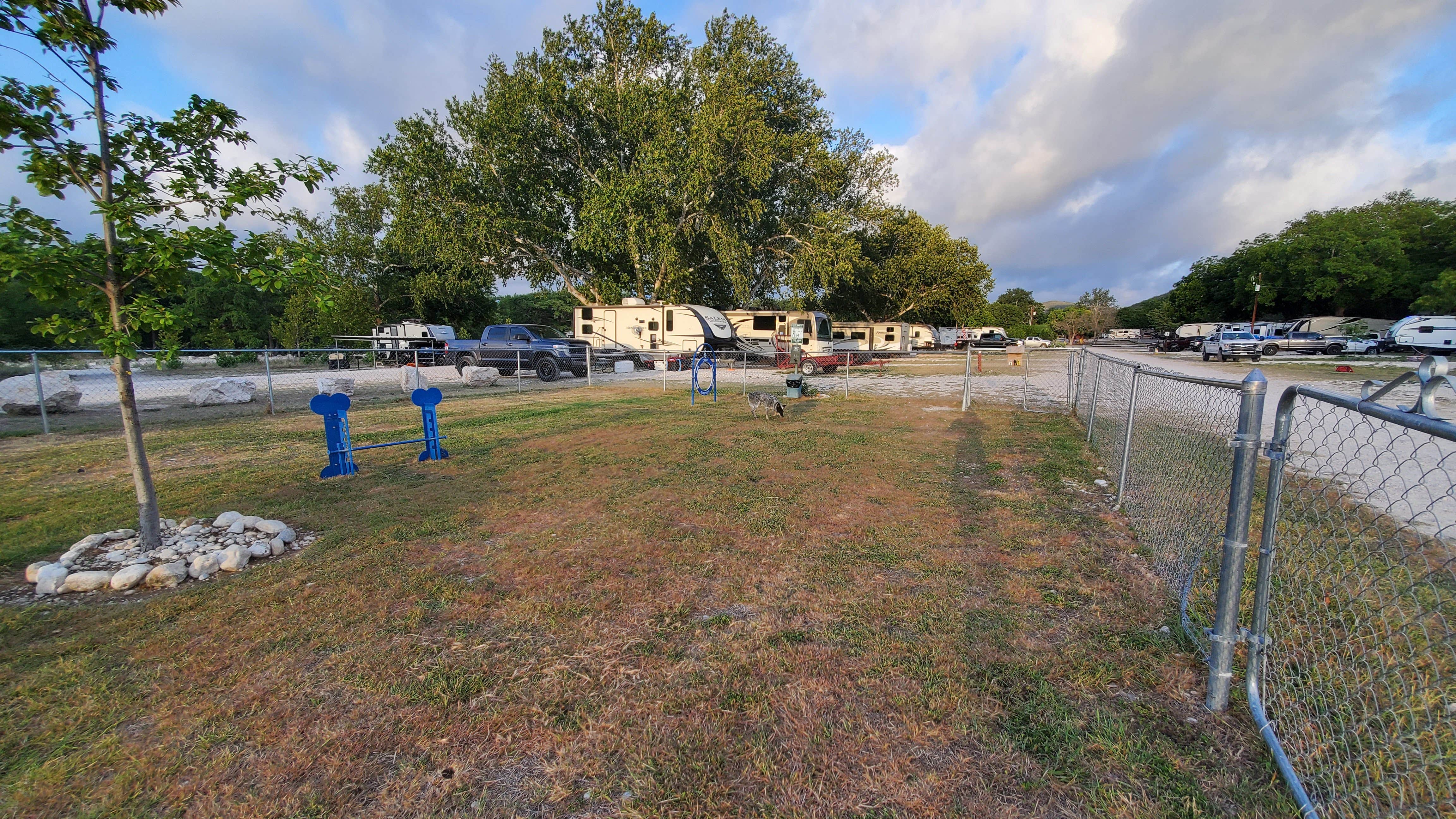 Camper submitted image from Camp Riverview - 2