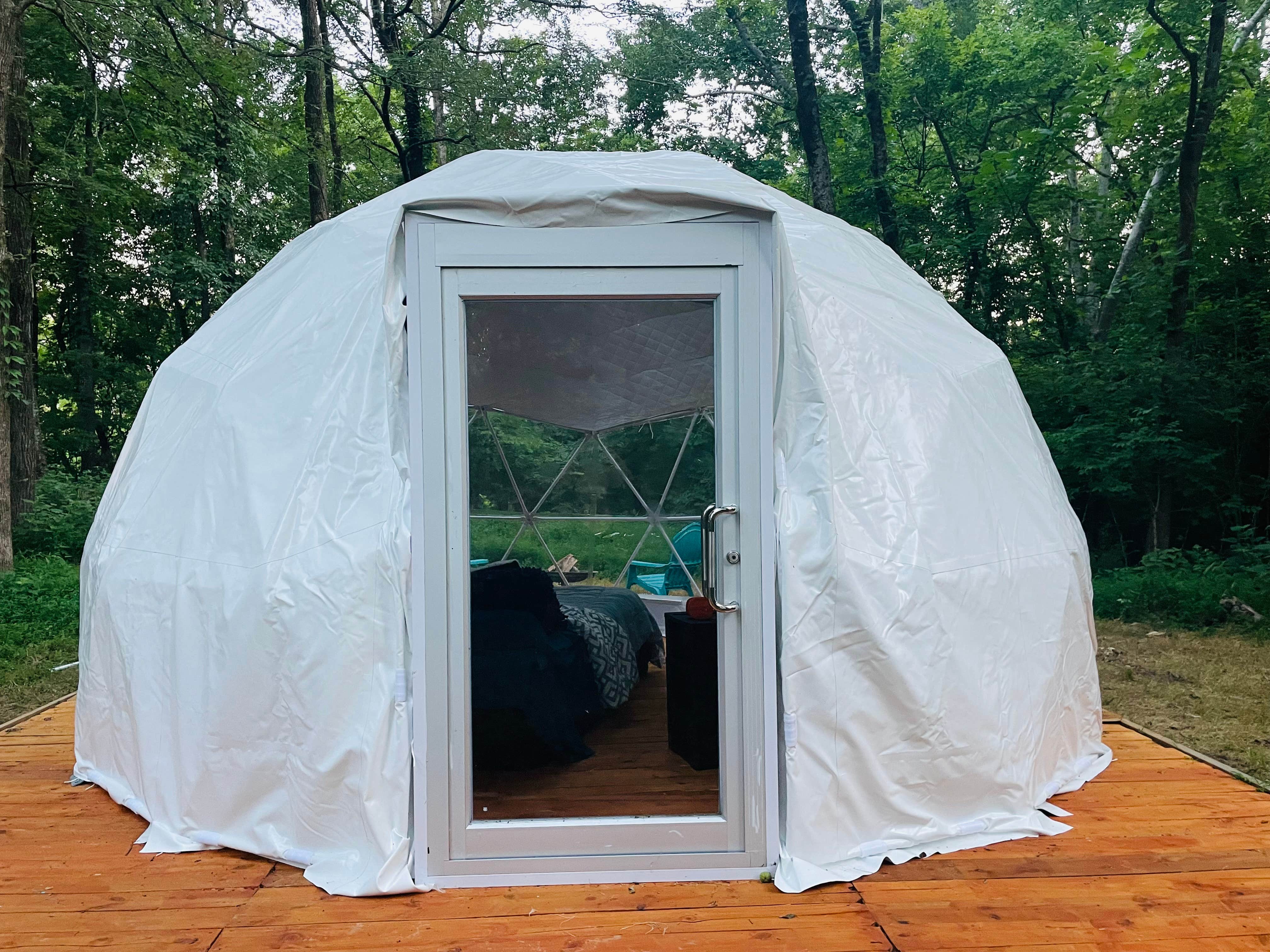 Savanna F.'s photo at Better Days Dog Rescue near Tullahoma, TN