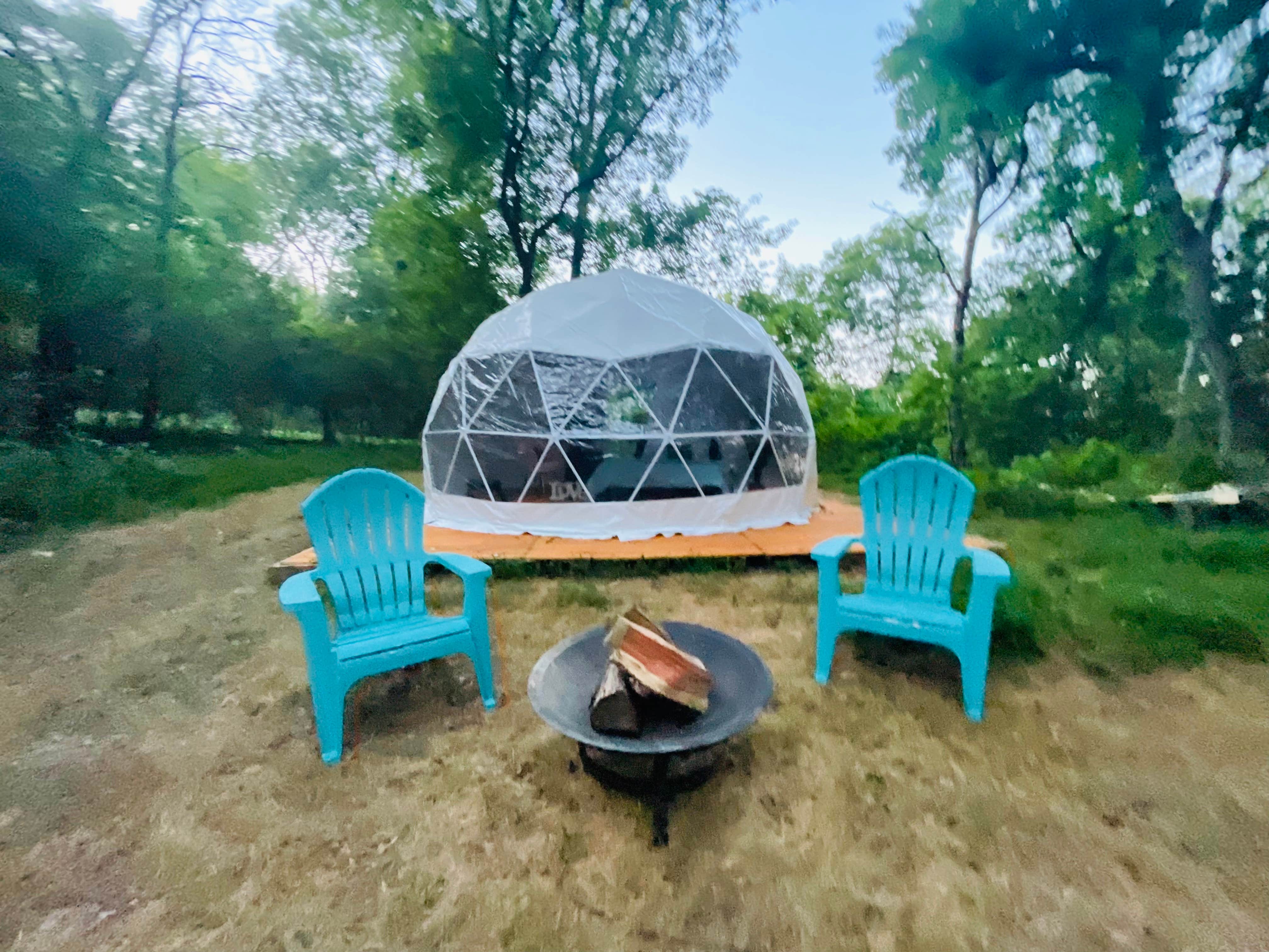 Camping near Cedar Point Campground: Better Days Dog Rescue, Shiloh, Tennessee