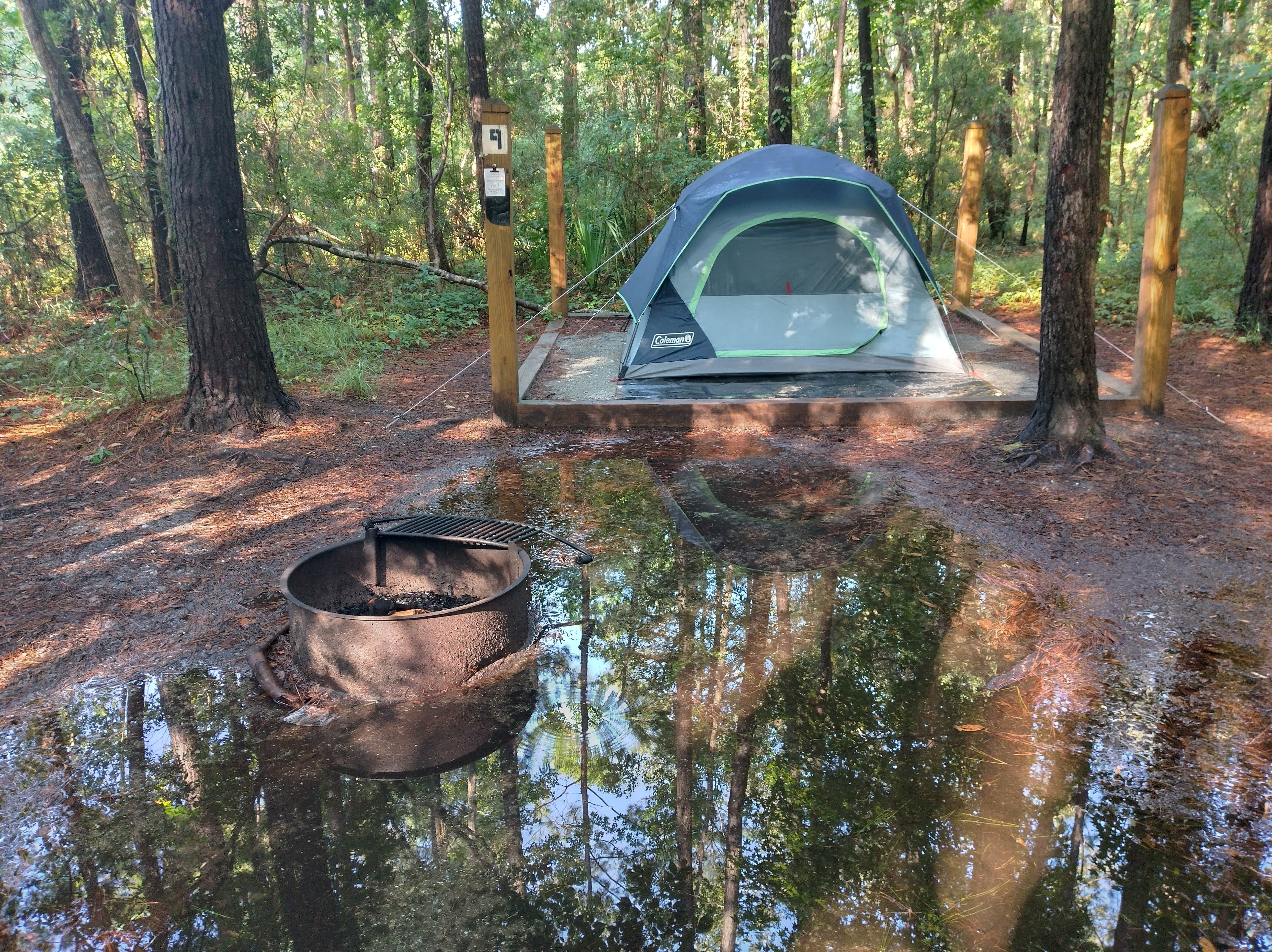Alex M.'s photo at Campground at James Island County Park near Charleston, SC