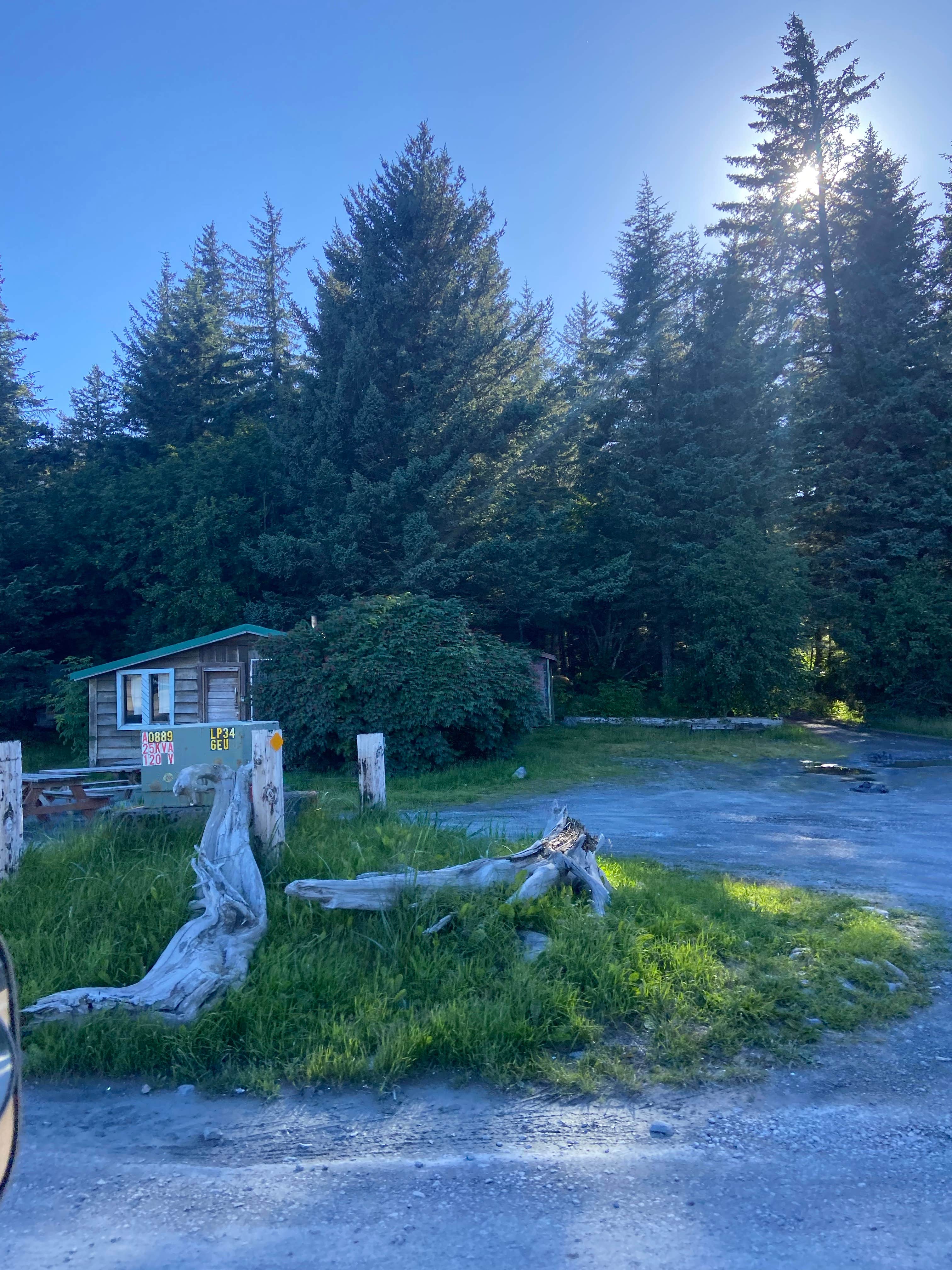 Camper-submitted photo at Miller's Landing near Kenai Fjords National Park