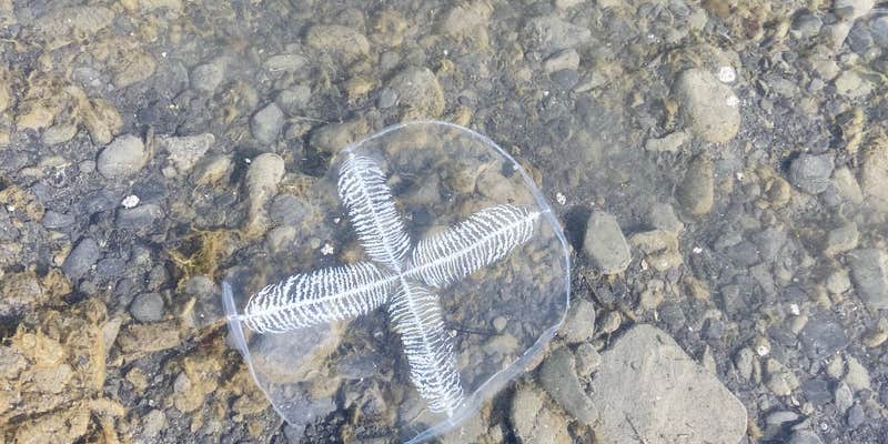 Camper submitted image from Miller's Landing