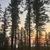 Review photo of Dispersed Camping Near Pioneer-Indian Trail in Siuslaw National Forest by Josie M., July 28, 2022