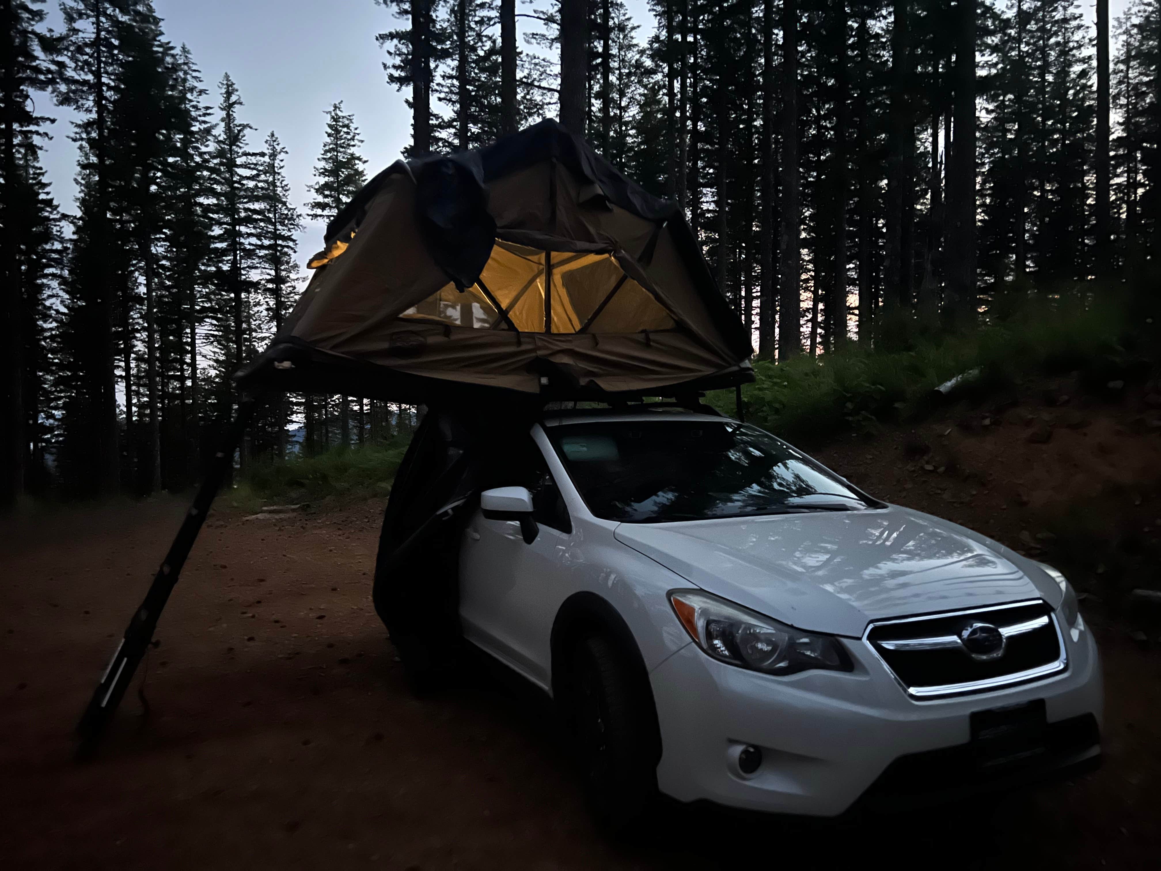 Dispersed Camping Near Pioneer Indian Trail in Siuslaw National