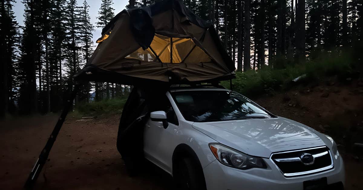 Dispersed Camping Near Pioneer-Indian Trail in Siuslaw National Forest