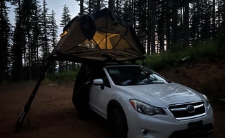 Camper-submitted photo from Dispersed Camping Near Pioneer-Indian Trail in Siuslaw National Forest