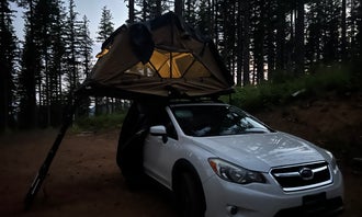Camping near South Lake: Dispersed Camping Near Pioneer-Indian Trail in Siuslaw National Forest, Beaver, Oregon