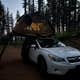Dispersed Camping Near Pioneer-Indian Trail in Siuslaw National Forest