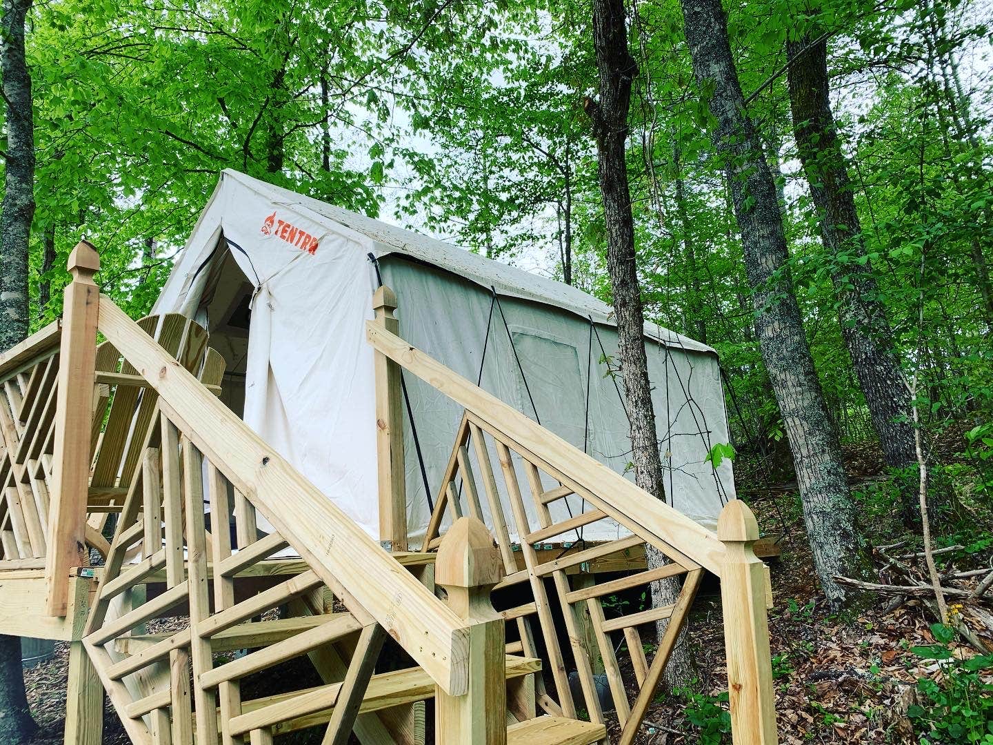 Camper-submitted photo at Fox Grape Farms near Mars Hill, NC