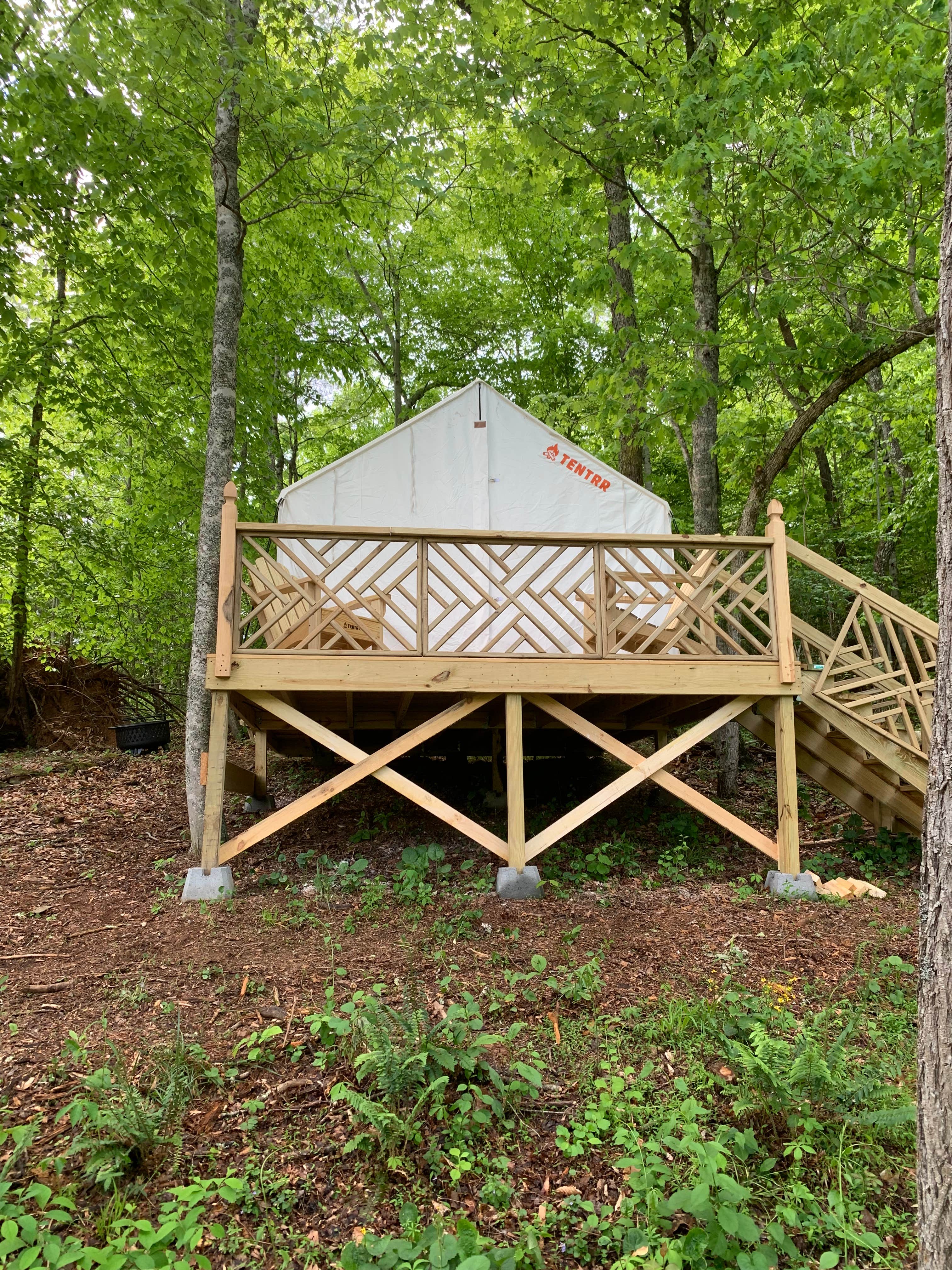 Camping near Natures Inn Hostel & Cabins: Fox Grape Farms, Mars Hill, North Carolina