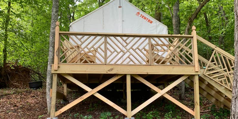 Camper submitted image from Fox Grape Farms