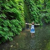 Review photo of Gold Bluffs Beach Campground — Prairie Creek Redwoods State Park by Janessa L., July 21, 2018