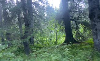 Riley N.'s photo at Primrose Trailhead near Seward, AK