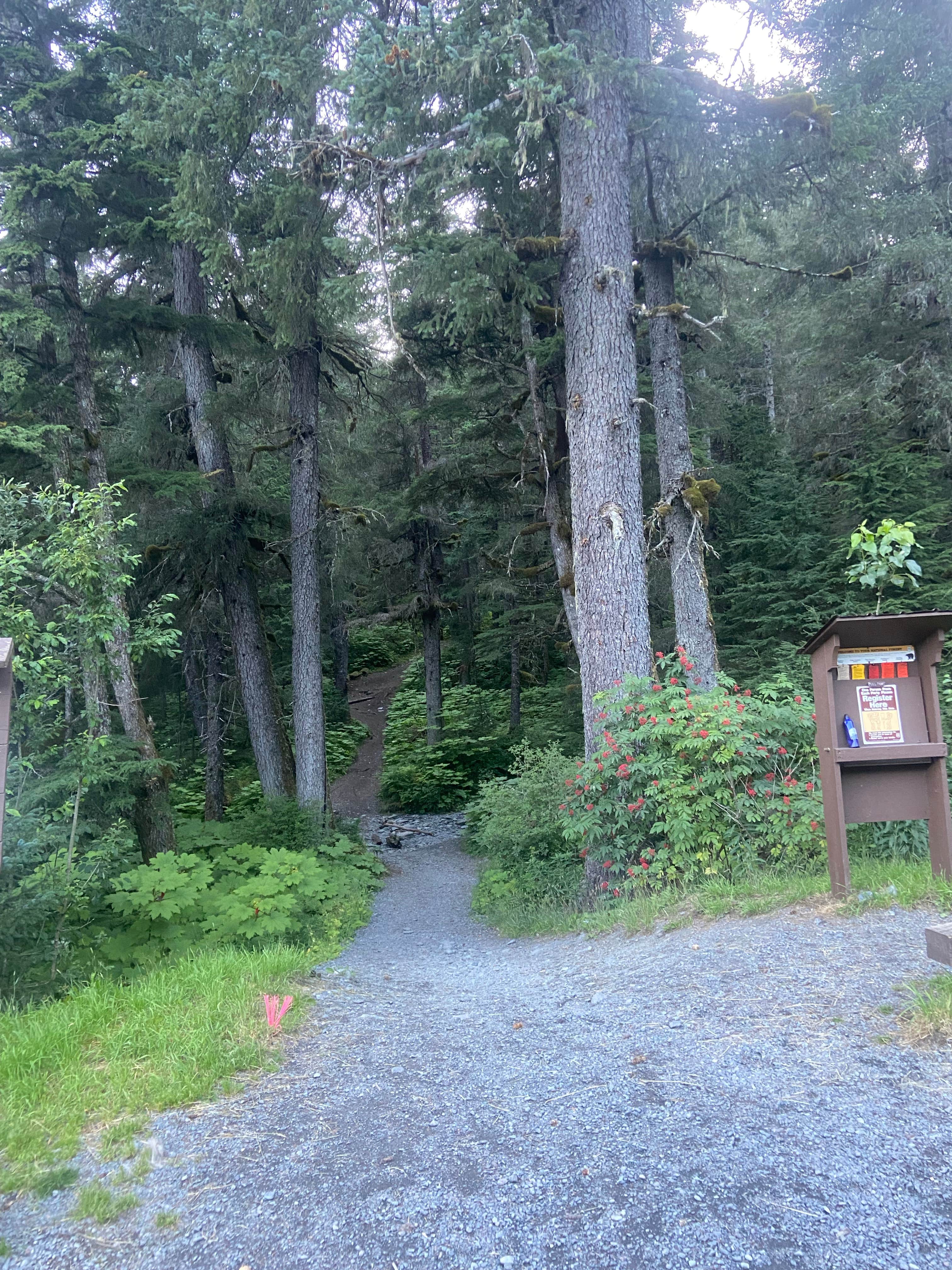 Camper-submitted photo at Lost Lake Trailhead near Whittier, AK