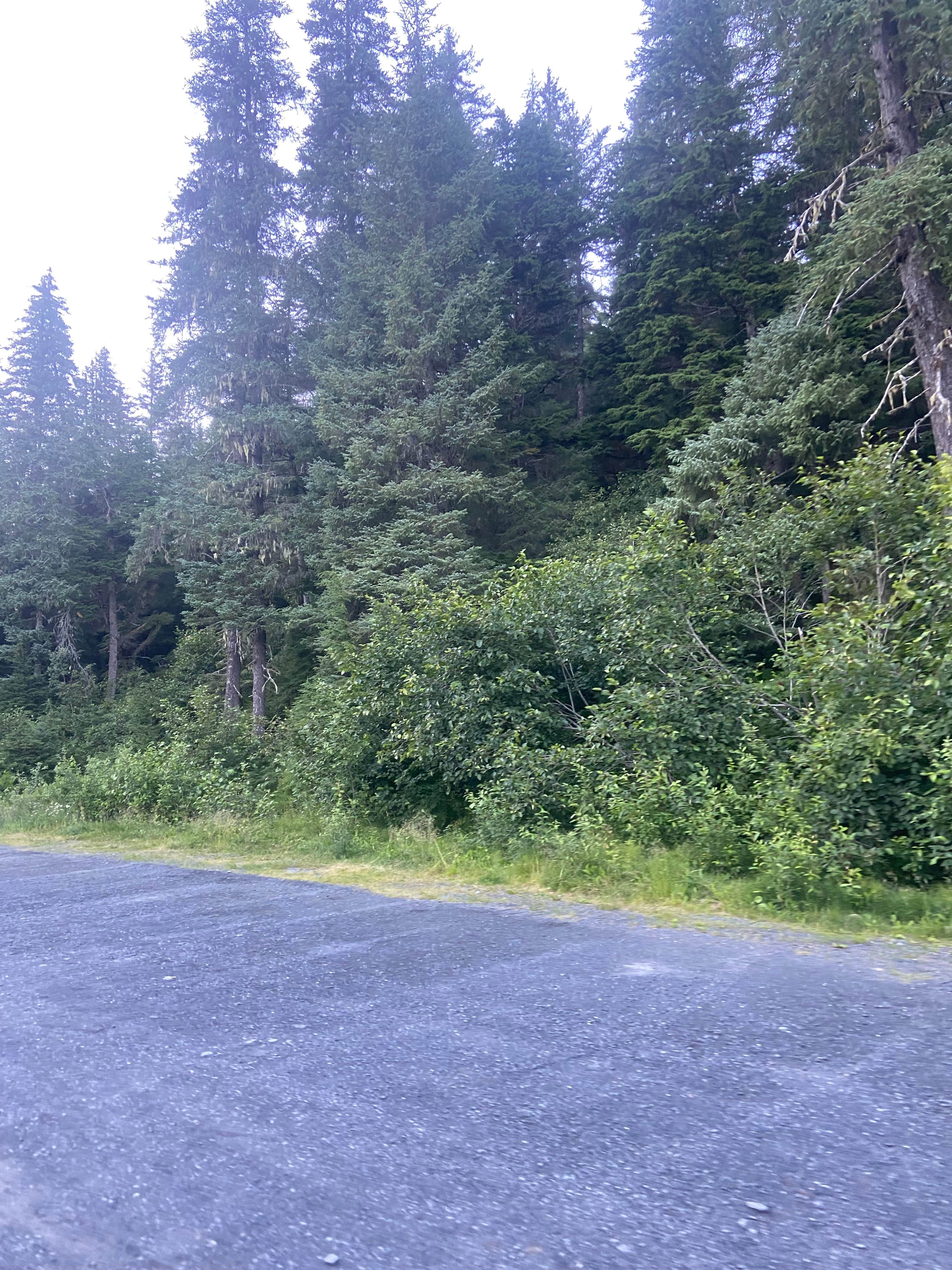 Camper-submitted photo at Lost Lake Trailhead near Whittier, AK