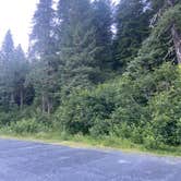 Review photo of Lost Lake Trailhead by Riley N., July 28, 2022