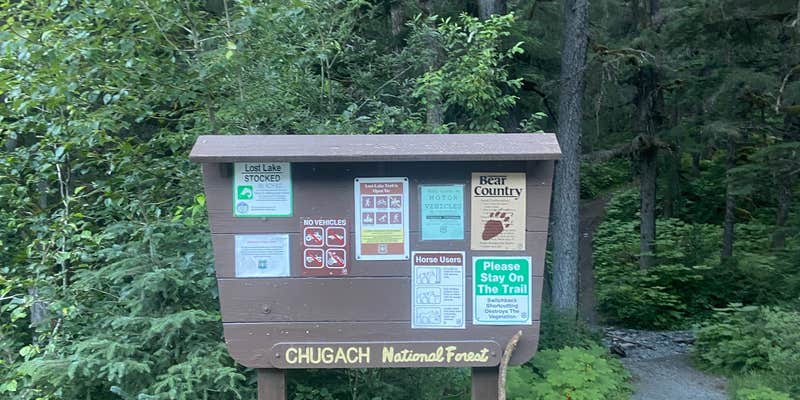 Camper submitted image from Lost Lake Trailhead