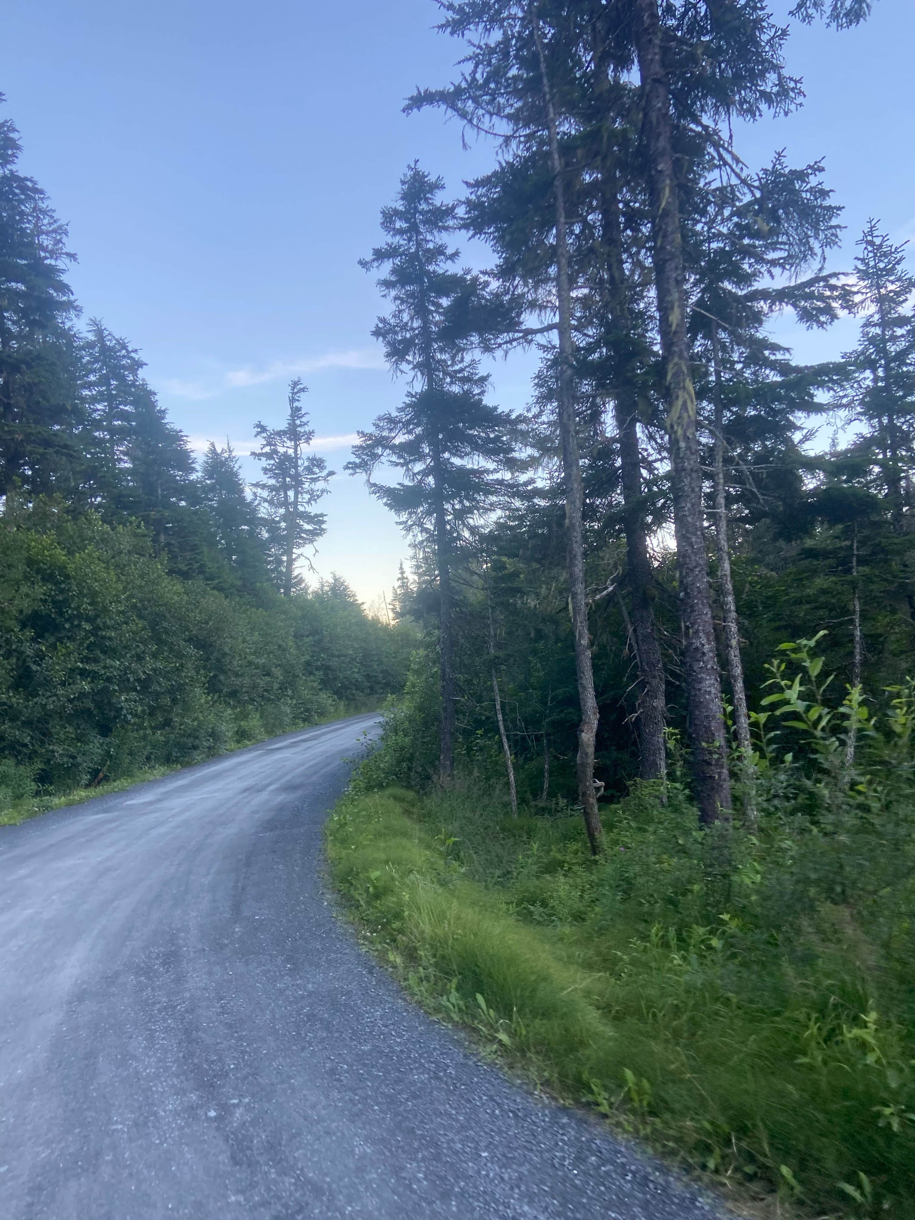 Camper-submitted photo at Lost Lake Trailhead near Whittier, AK
