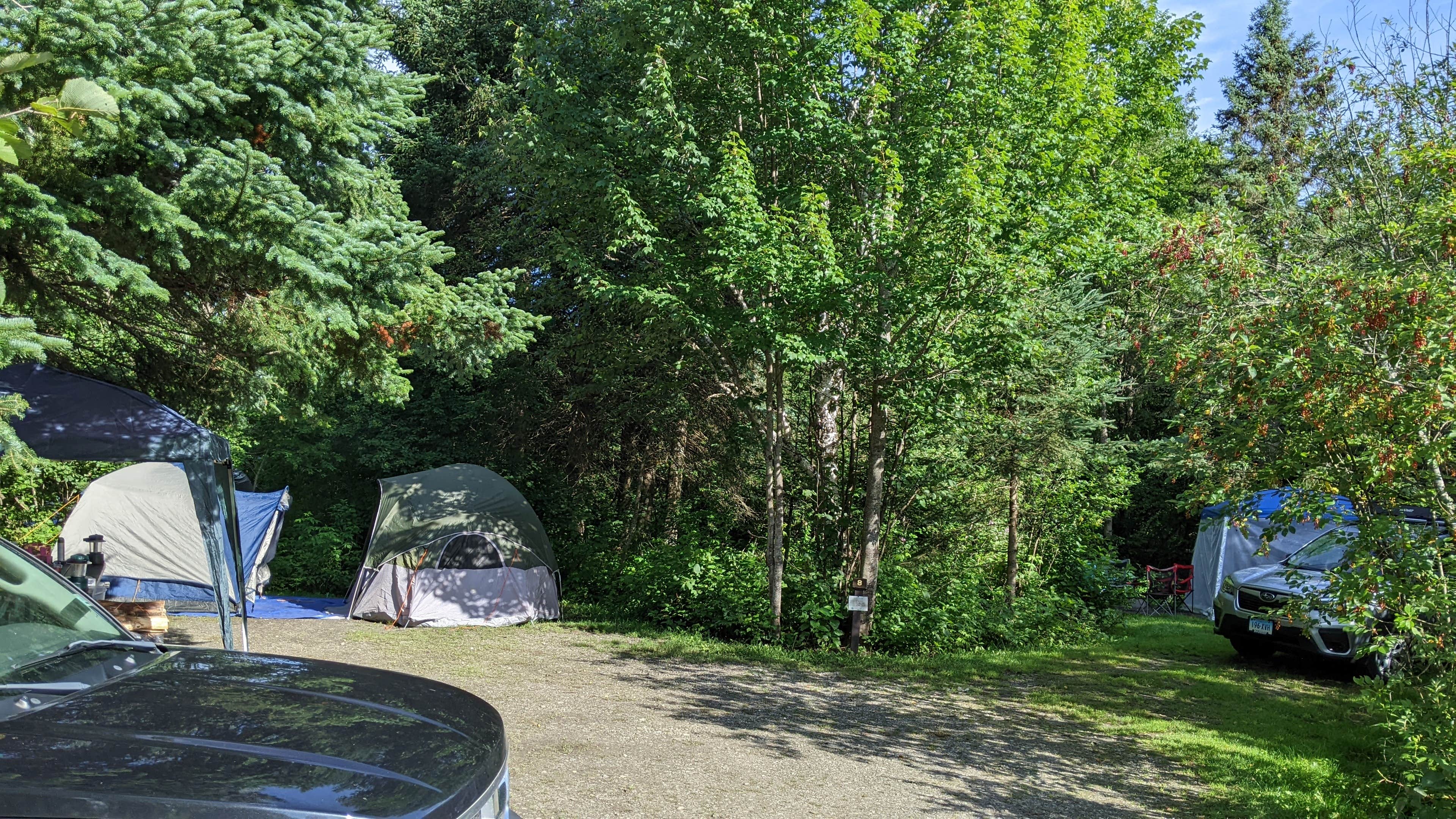Camper-submitted photo at Lake Francis State Park Campground near Rangeley, ME
