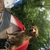 Review photo of Blackwell Family Campground by Autumn D., July 21, 2018