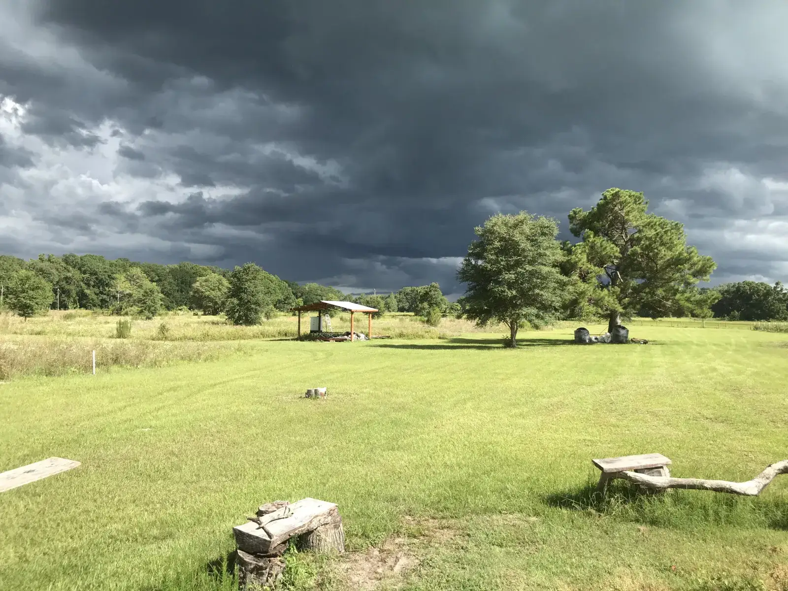 Camping near Fanning Springs State Park Campground: Caceres Organic Blueberry Farms, Fanning Springs, Florida