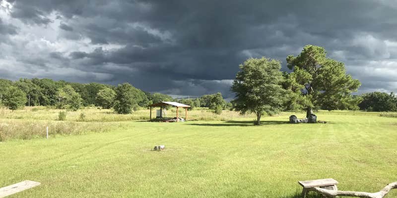 Camper submitted image from Caceres Organic Blueberry Farms