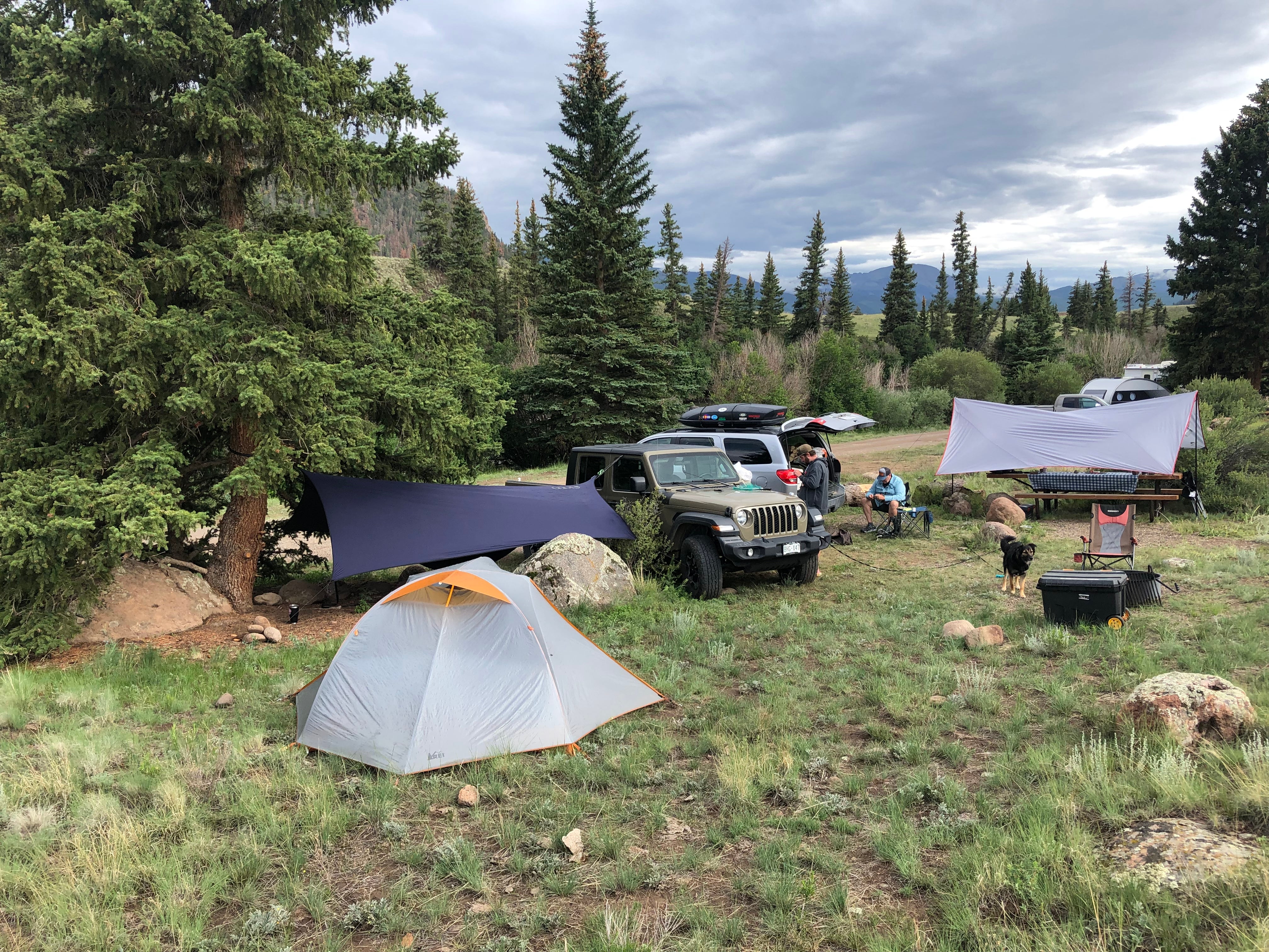 Camper submitted image from Rio Grande Campground - 1