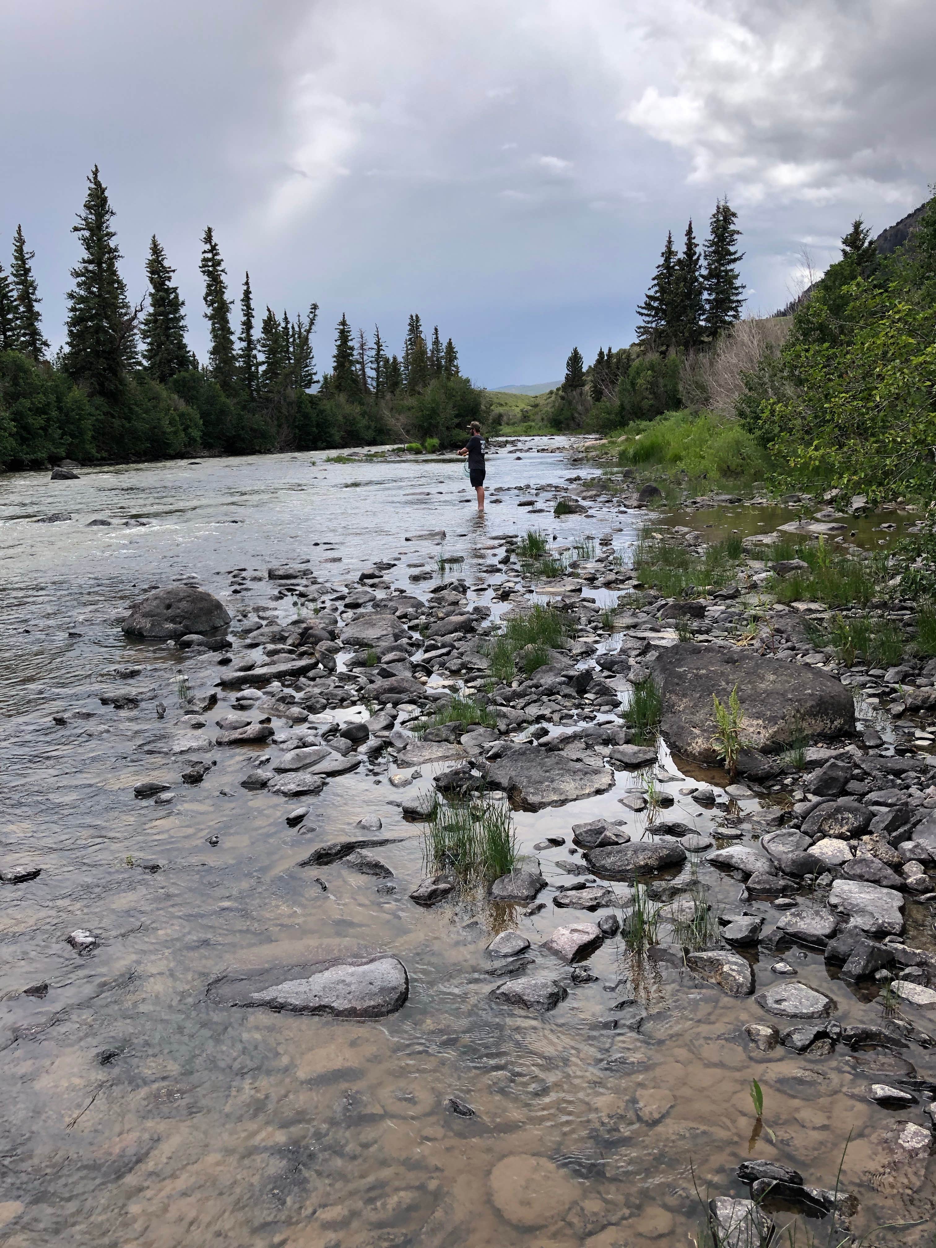 Camper submitted image from Rio Grande Campground - 3