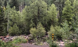 Camping near Ironton Park: Uncompahgre National Forest Thistledown Campground, Ouray, Colorado