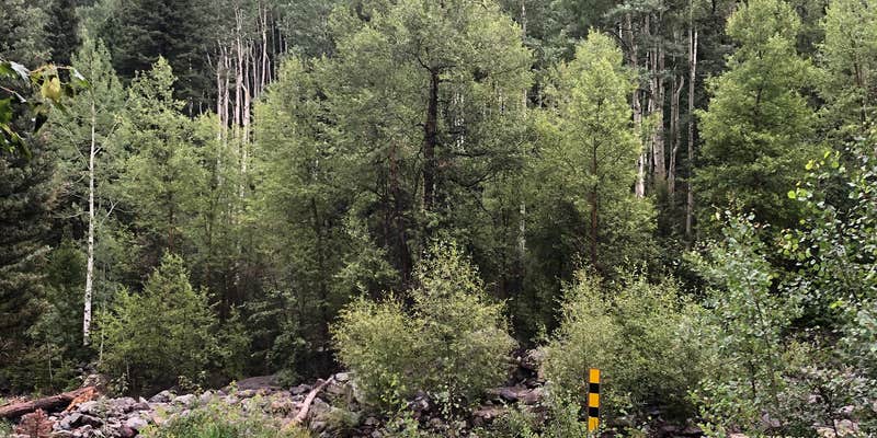 Camper submitted image from Uncompahgre National Forest Thistledown Campground