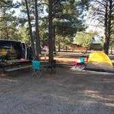 Review photo of Williams-Circle Pines KOA by Cory H., July 21, 2018