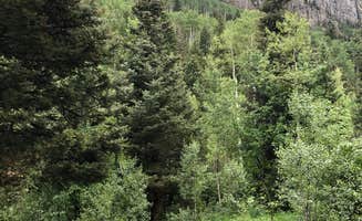 Karin S.'s photo at Uncompahgre National Forest Thistledown Campground near Ouray, CO