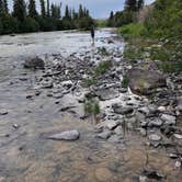 Review photo of Rio Grande Campground by Karin S., July 28, 2022