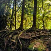 Review photo of Jedidiah Smith Campground — Redwood National Park by Autumn O., July 28, 2022