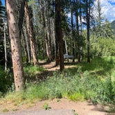 Review photo of Lodgepole Campground by christopher G., July 28, 2022