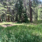 Review photo of Lodgepole Campground by christopher G., July 28, 2022