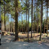 Review photo of Olympic Adventure Campground by Marie B., July 28, 2022