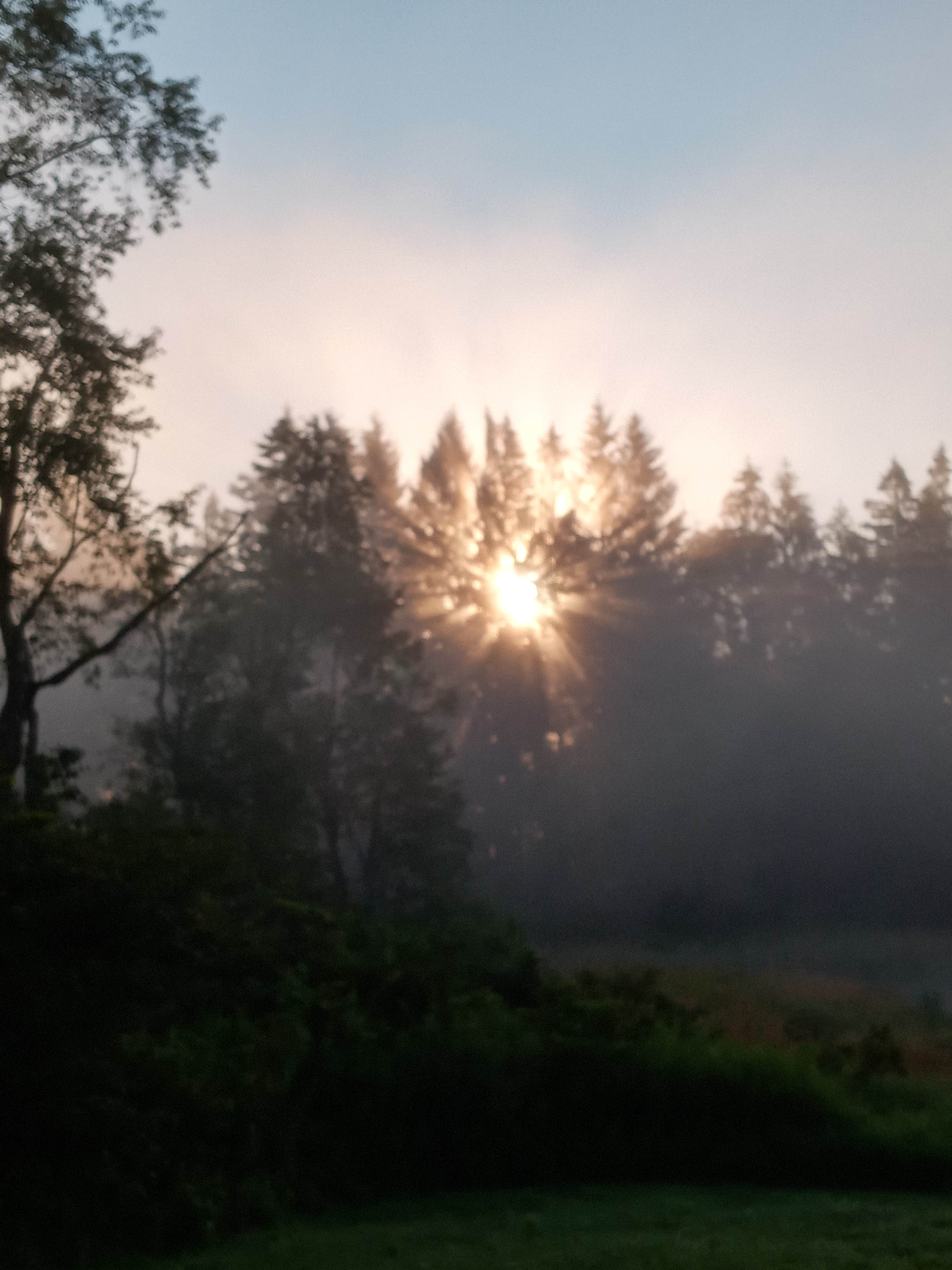Camper-submitted photo at Grandpa's Back 40 Glamping near Colliersville, NY