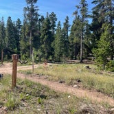 Review photo of West Magnolia Campground by Dave , July 28, 2022
